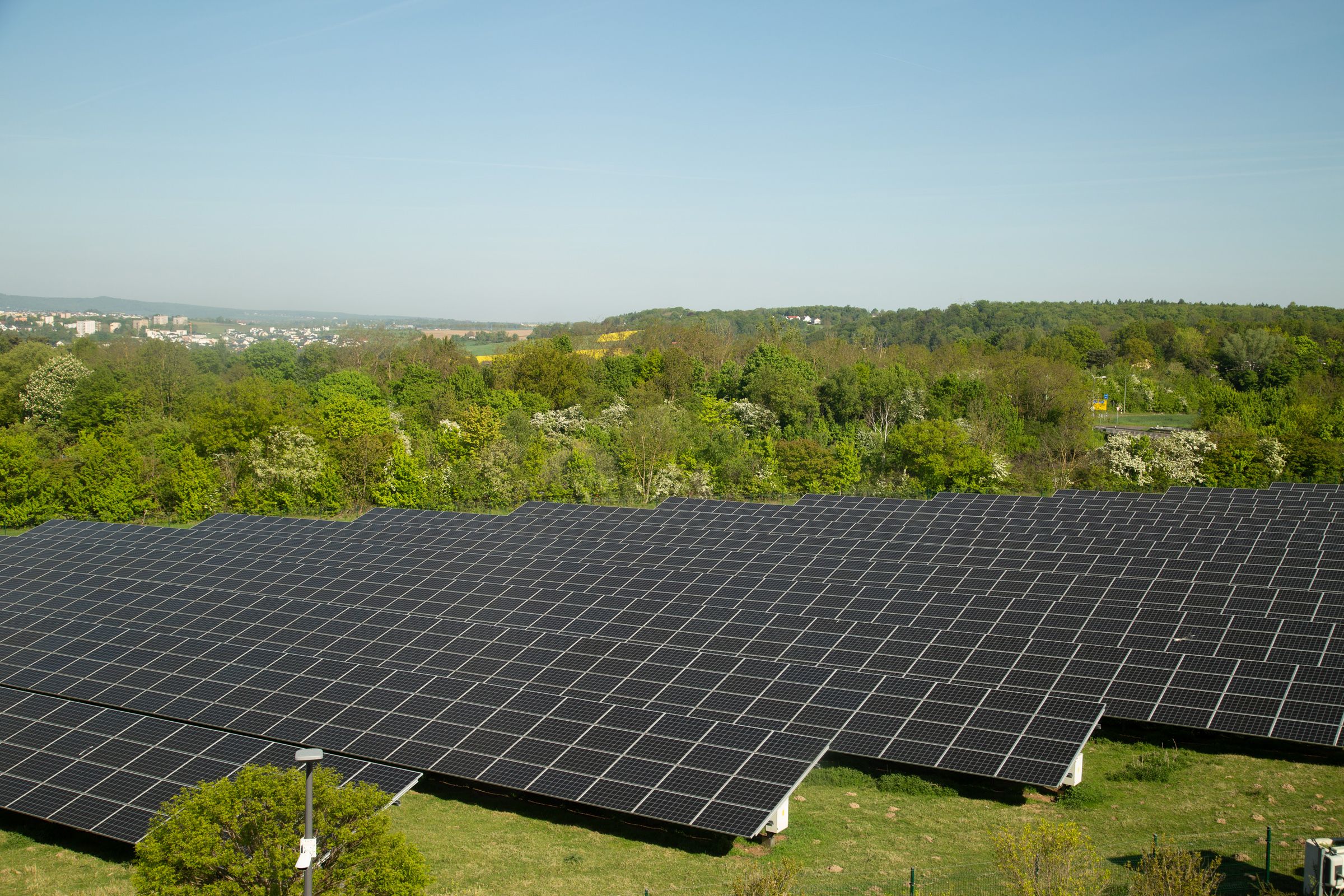 Eine große Photovoltaikanlage auf einer grünen Wiese mit vielen Bäumen im Hintergrund