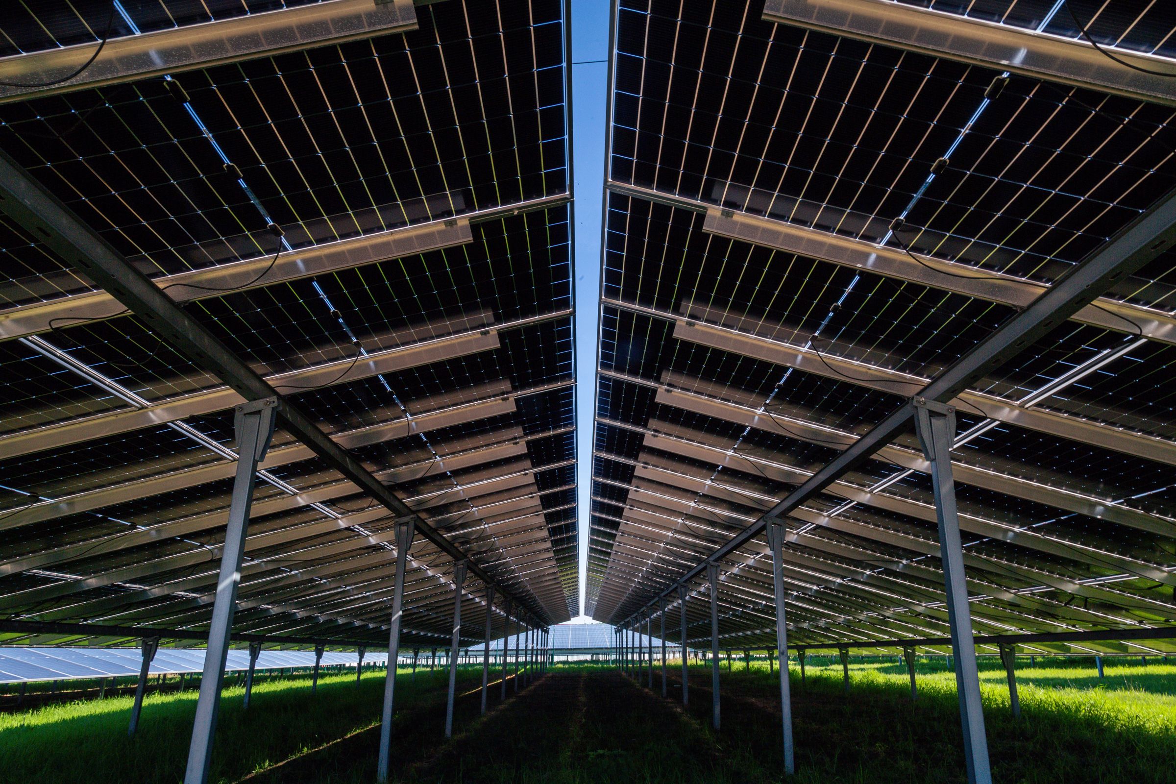 Photovoltaik-Großanlage von unten fotografiert