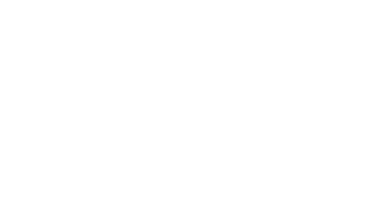 Hessen-Champions Logo weiß
