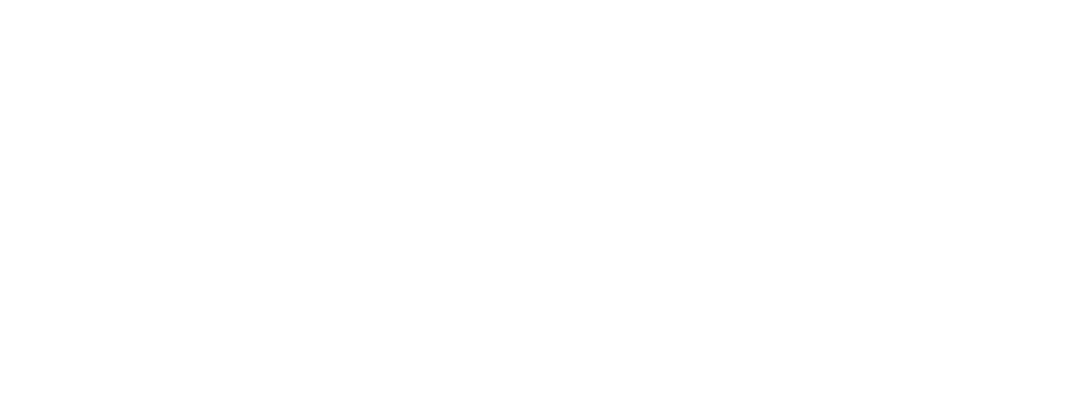 Hessen-Champions Logo wei&szlig;