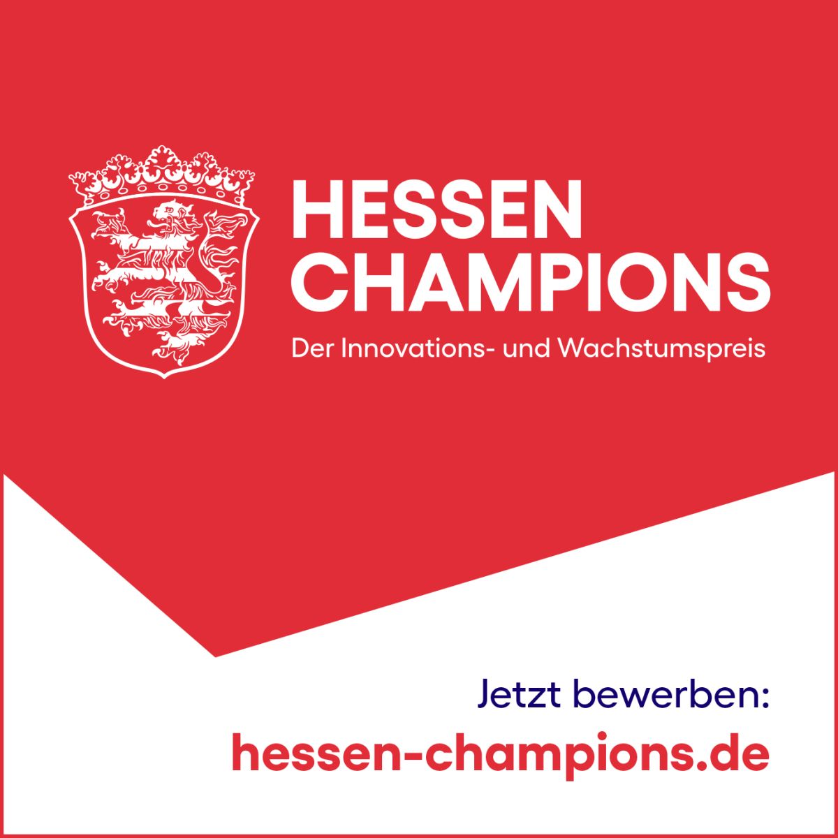 Hessen Champions Banner 1:1
